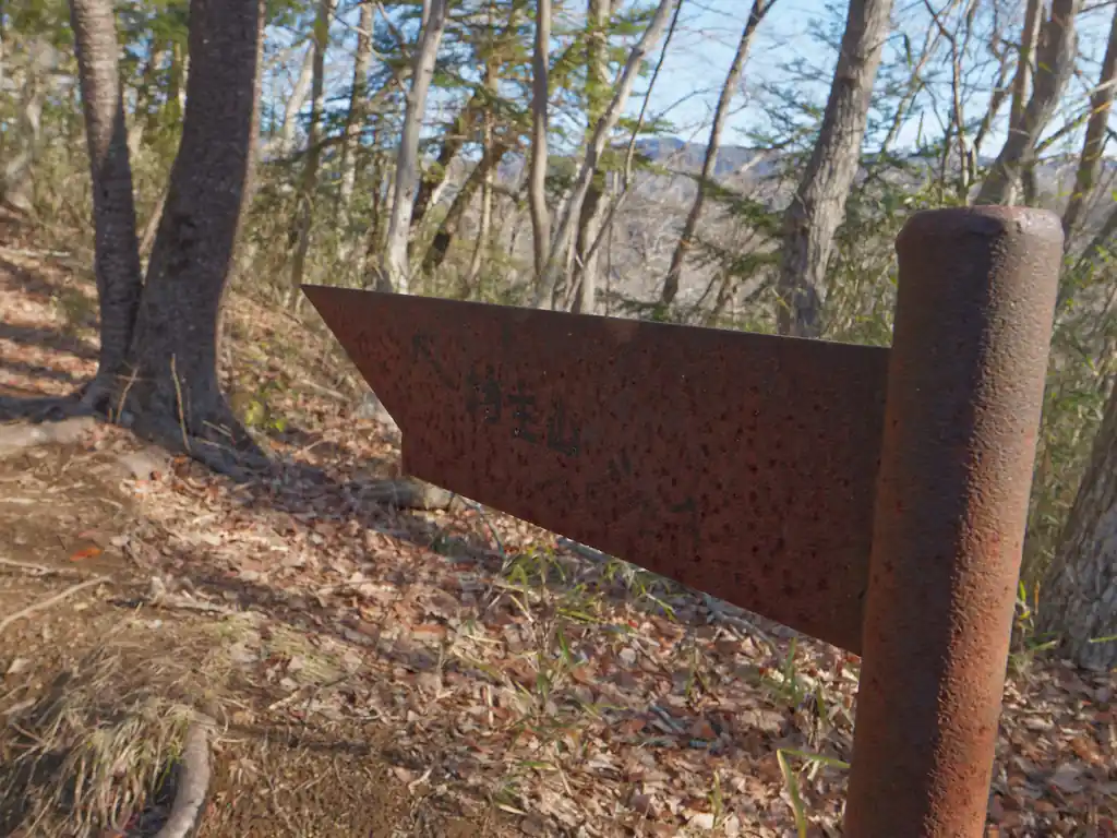 錆びた指導標に坊主山と書かれている。
登山道はピークを迂回するようにつけられているが、どうやらこのピークが坊主山らしい。
せっかくなので、これも登ってみることにする。