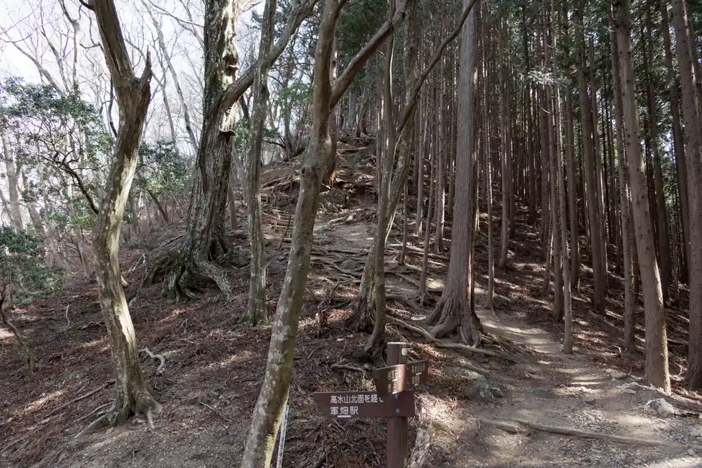途中高水山への登りと巻き道の選択がありましたが…当然ここは巻き道です。あの道を歩いた後にこの登りは無理なのよ。