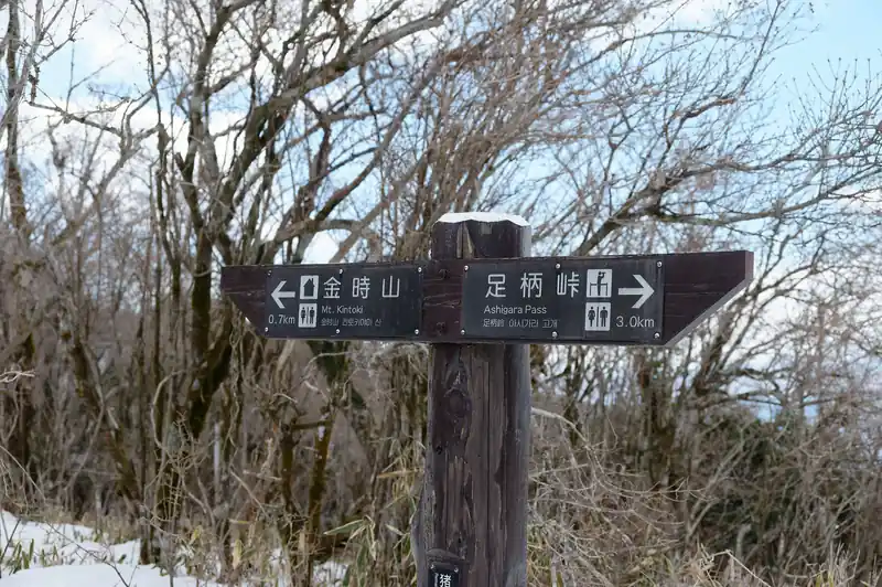金時山0.7km。だいぶ近づいてきた。
雪が多く、滑ってつかれるのでチェーンスパイクをつける。数人の登山者とすれ違ったが、チェーンスパイクをつけている人はいなかった。