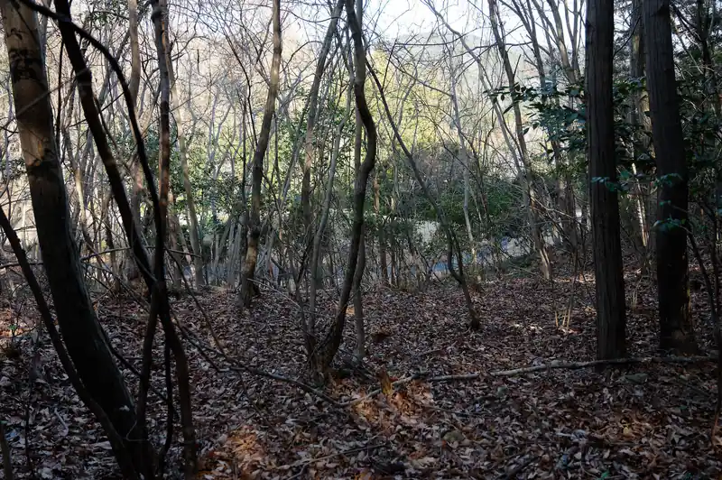 と、横にゴルフ場。