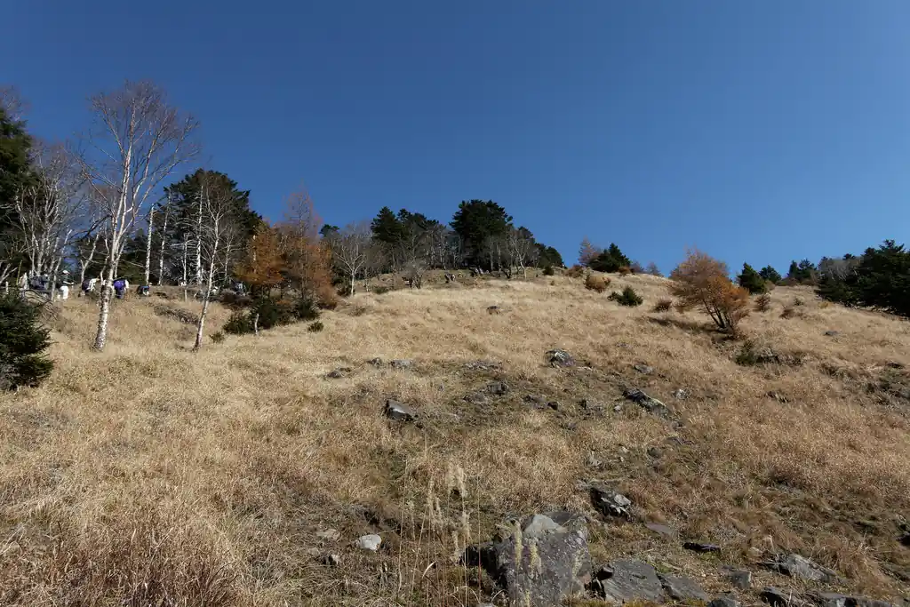 唐松尾根はまだ続く。この登りが地味にきつい。