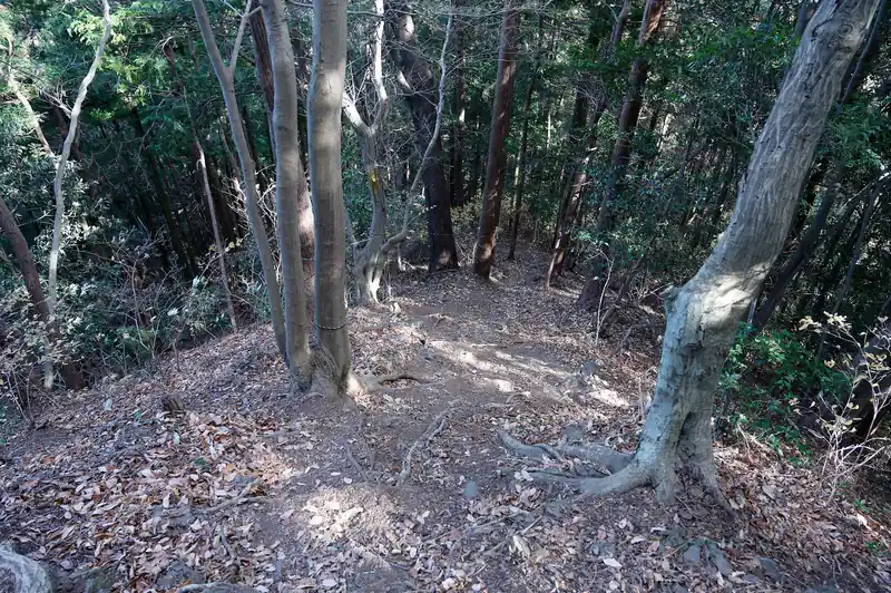 まだ続く。