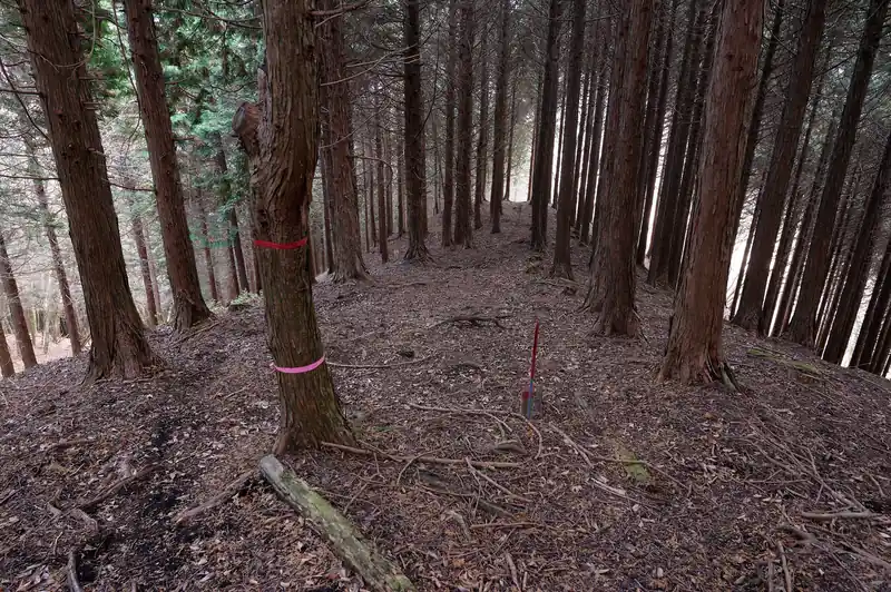南峰に戻って世附峠を目指して下っていきます。