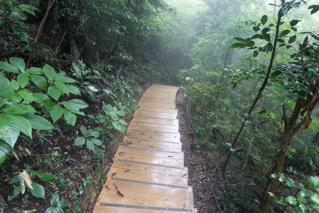 下山は初めての稲荷山コース。
最近工事が終わったばかりなので歩いてみましたが、この道、本当に木板が多い。植生保護のためなんでしょうが、なんだかちょっと残念。
木板は歩きやすくてよくはあるけど、やっぱり直に土の上を歩いたほうが山を歩いている感じがしてよいですね。