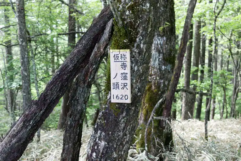 仮称の寺窪沢ノ頭に到着。