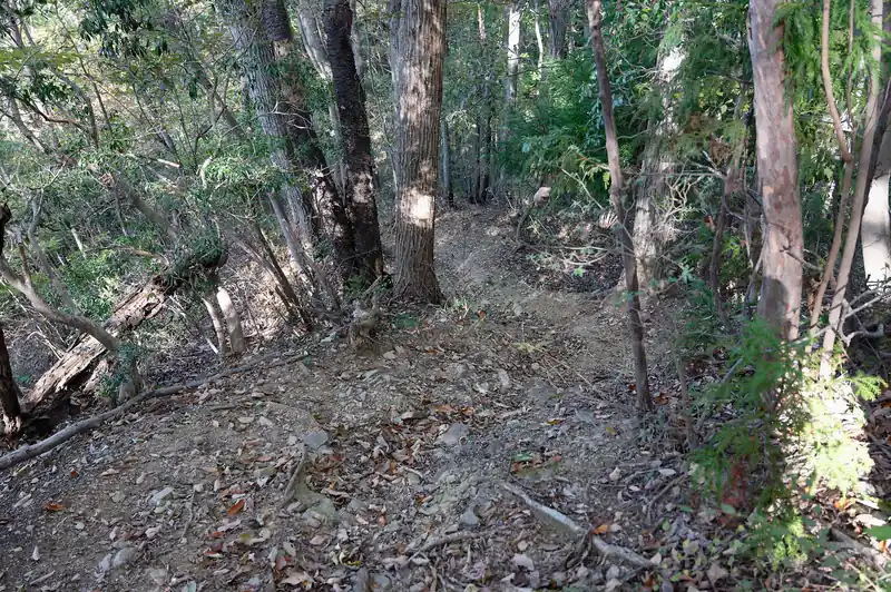 円良田城山からは一度標高を落とします。