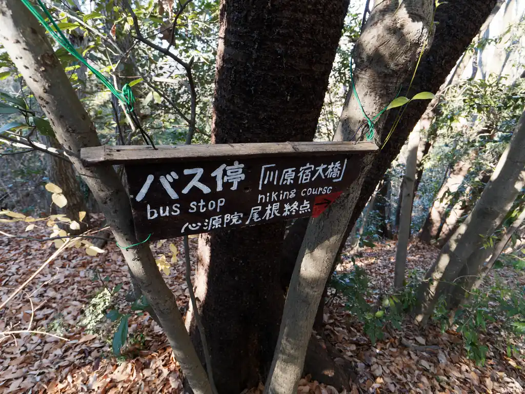 川原宿大橋は心源院最寄りのバス停。
