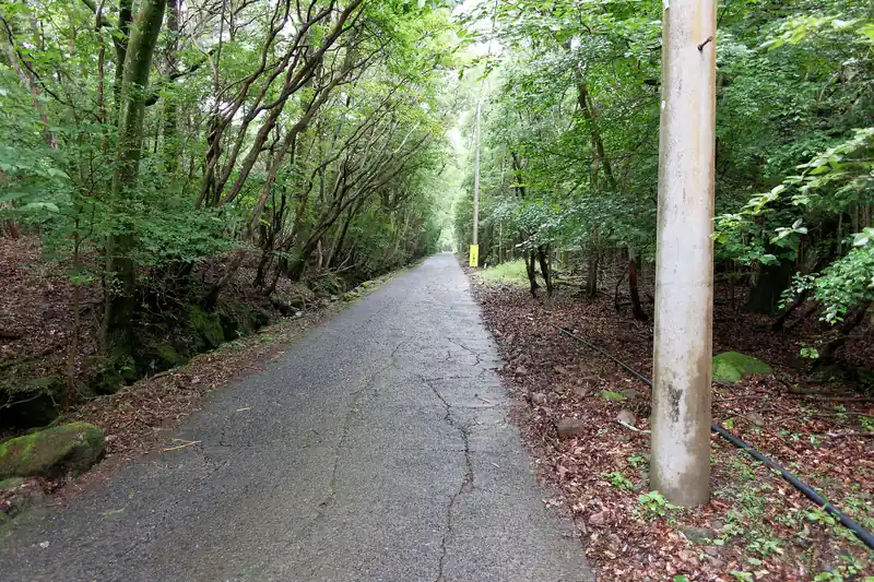 というわけで、舗装路を歩いて登っていきます。