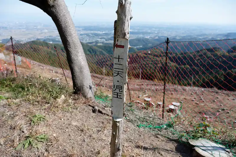 どこかへ飛んでいってしまいそうな道標ですが、気になるので後で少し寄り道しようと思います。