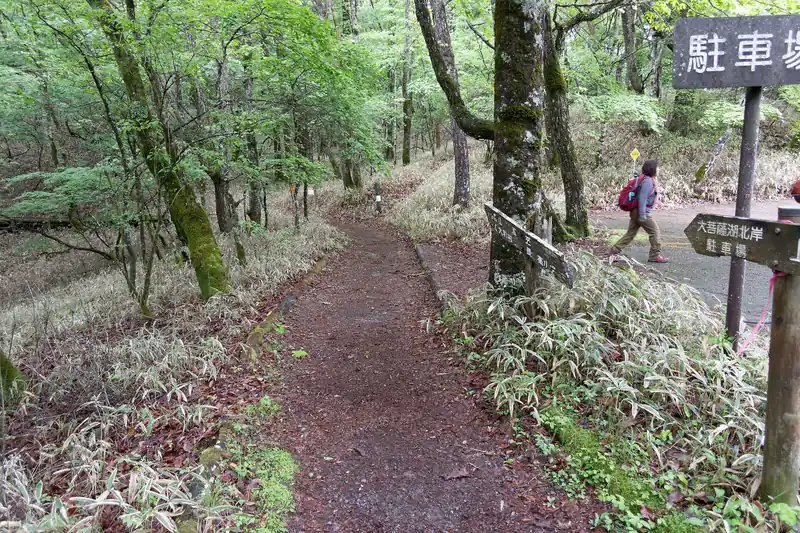 ここから山道に入って歩いていきます。
写真に写っているんですが、すぐそこに道標があって、砥山方面へ登っていきます。