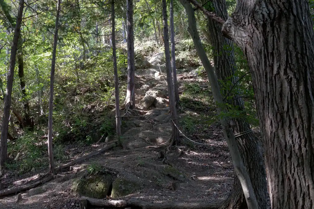 鉄塔を過ぎて少し行くと尾根に乗る。
このあたりで登山者二人とすれ違い、思ったよりも人がいるなあ、と思った。

ここから大明神展望台までは少しばかりの坂道だが、初っ端は岩の急坂である。
両サイドにロープが張られているので大したことはないが、こういうのは登りの方がだいぶ通過が楽だ。