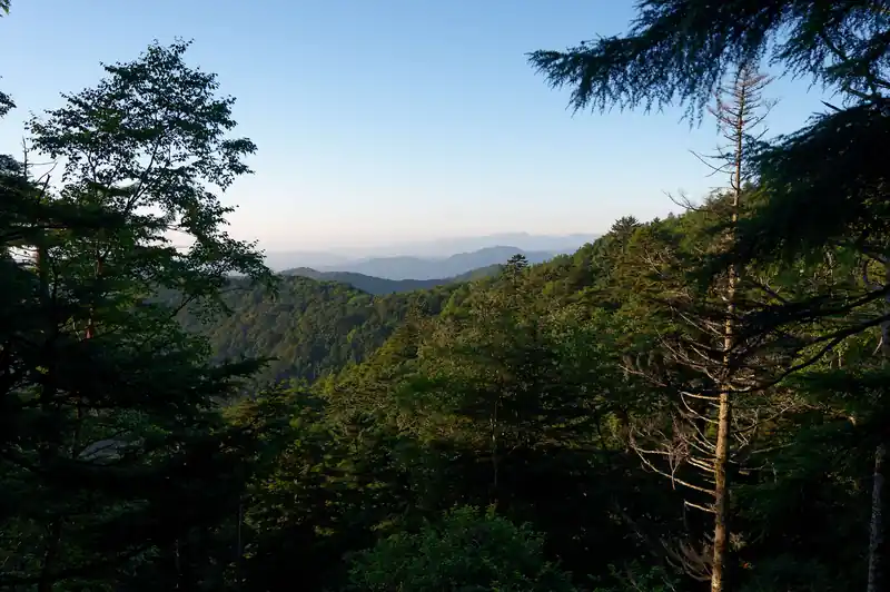 本当は石尾根を歩いて日蔭名栗山なんかを経由して峰谷に降りる予定だったんですが、靴擦れもしてるし、アブとハエに付きまとわれてるし、でゲンナリ。
鴨沢バス停に速攻で下山することにしました。

なお、三峯神社側に降りる選択肢もあるんですが、先日発生したがけ崩れの影響で三峯神社から西武秩父駅間のバスが運休となっており、三峯神社に降りたところで公共交通機関で下山できません。少なくとも三峰口駅まで歩く必要があります。