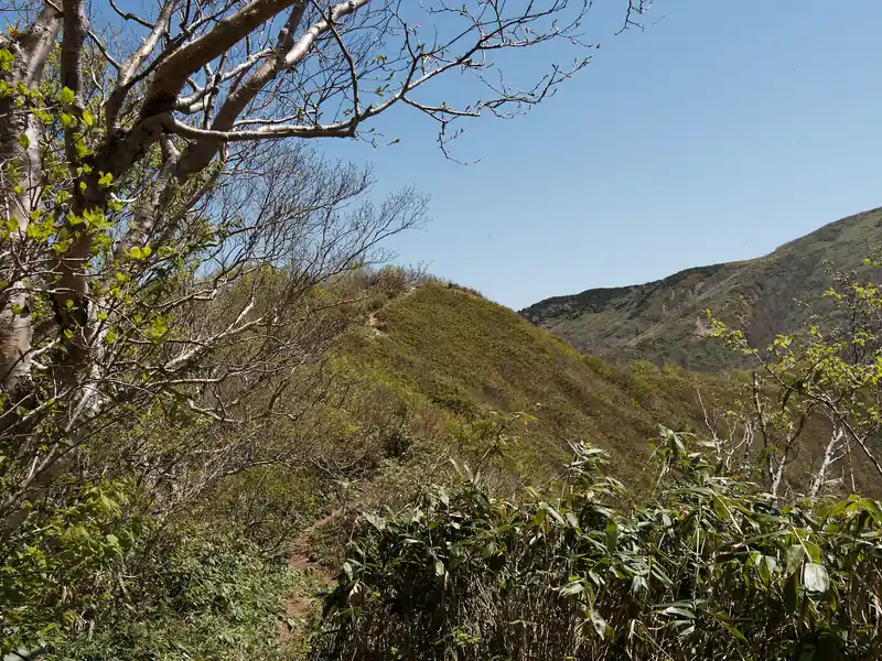 登りきって開けたところに出ると、目の前に松手山。