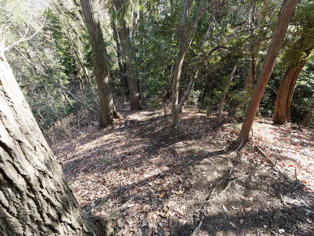 地蔵山手前も急坂。
この坂の手前の手前あたりでシニアの三人組を追い越す。

ちょうど武蔵五日市駅に電車が入る前に、電車の窓から見ていたシニアの三人組っぽかった。窓から見たときは、もしかしてロンデン尾根かな、と思っていたが、まさかその通りだったとは…。