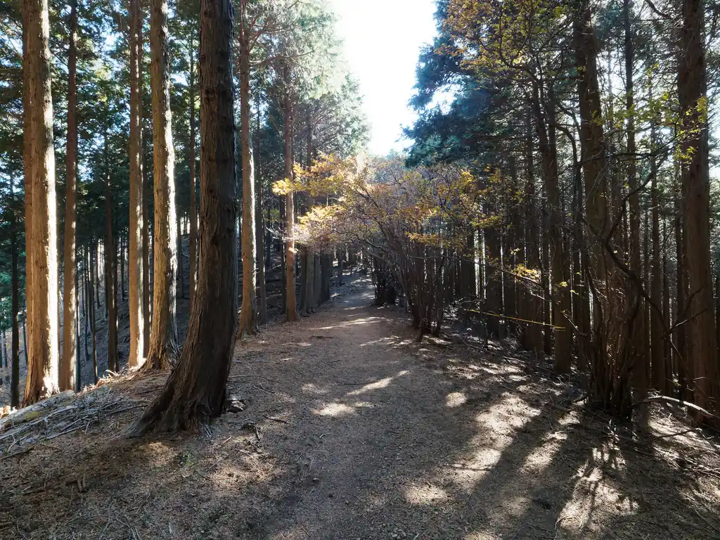 蓑毛越はこの手前。ここからは高取山手前の林道に出るまでずっとこんな感じの幅広でなだらかな道が続く。
