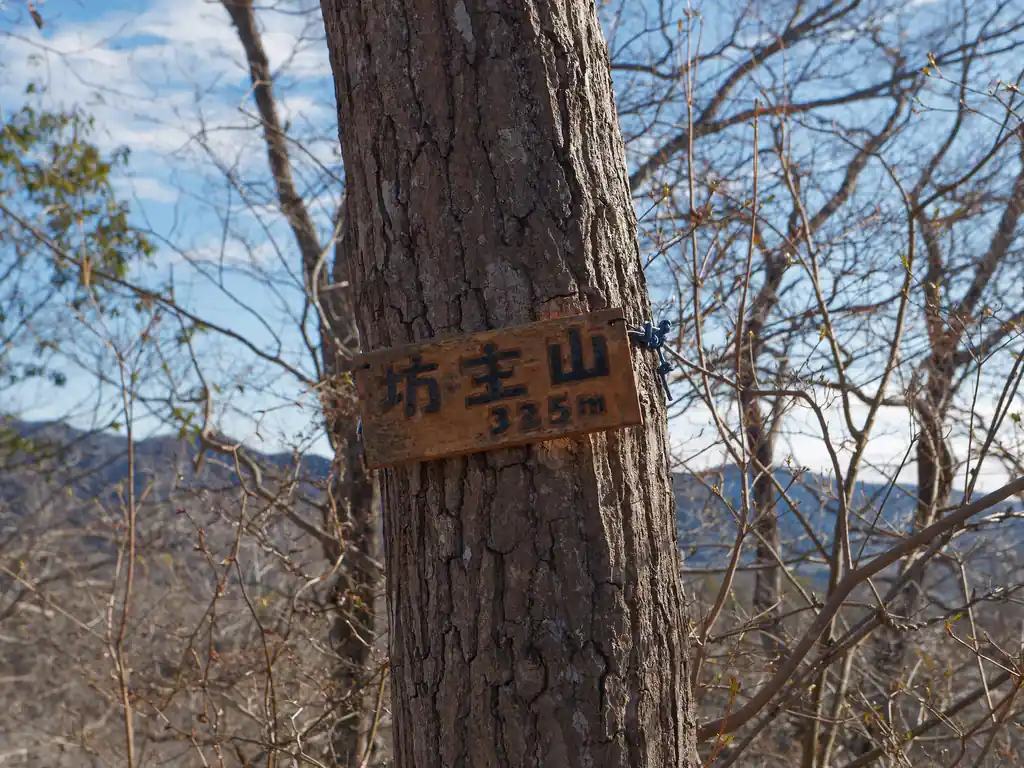 少し登るとすぐに山頂。ここが坊主山らしい。