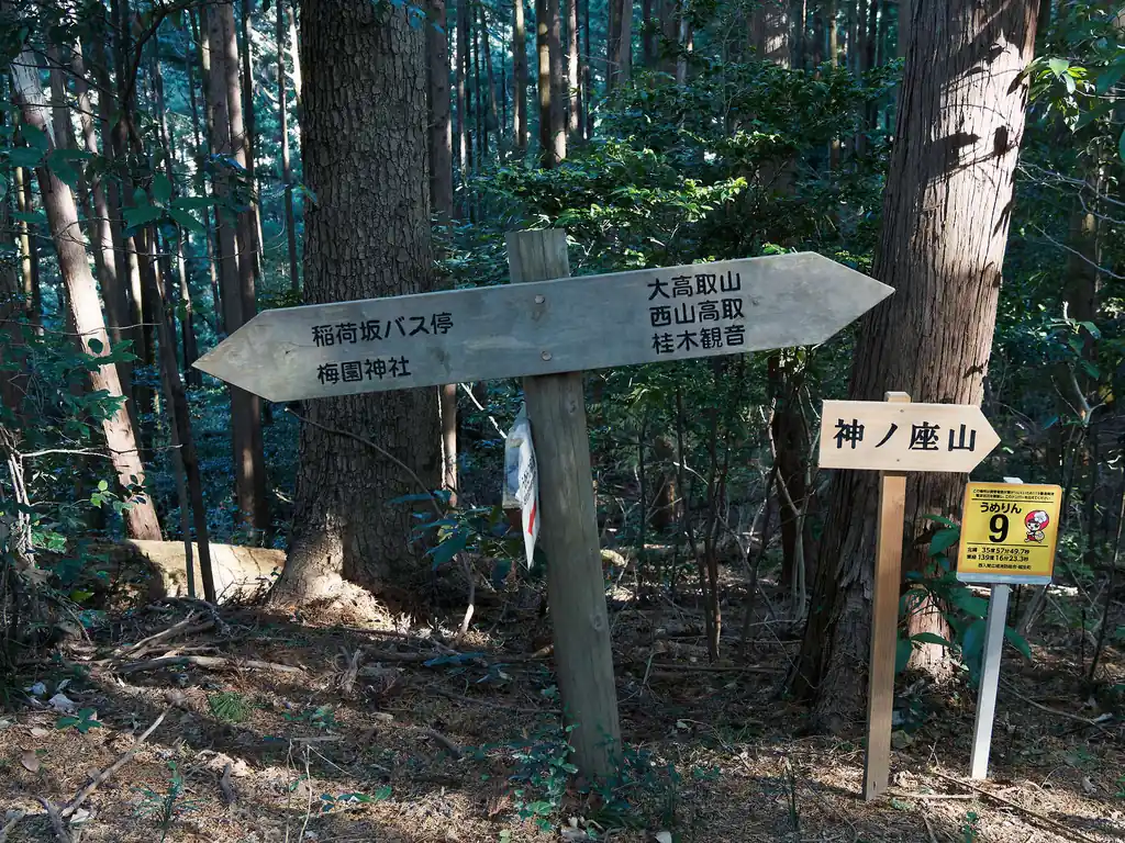 ここで尾根道に合流。