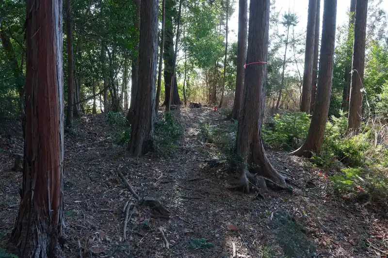 尾根に出て道なりに進みます。