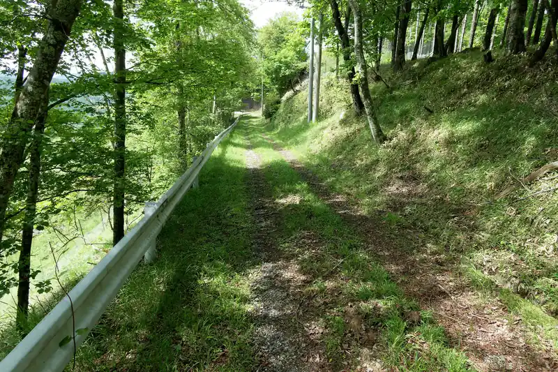 無線中継所から先は車も通れそうなしっかりとした道です。