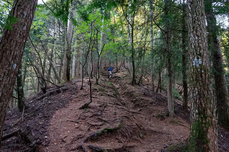 ほぼ最後の坂。ここをグッと登ってベンチのある分岐点に出ると川苔山はすぐそこだ。