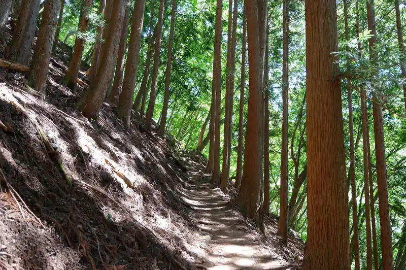 緩やかに登っていく。
