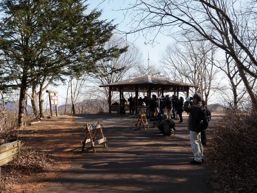 しばらく遊歩道を進んでいくと、これまた高価そうなバズーカレンズをつけたカメラを構える人や、双眼鏡で何かを見ている人たち。
恐らく野鳥だろうと思う。
横瀬丸山には何度か登っているけど、こんなに人が集まって観察しているのは初めて見る。
人は多いのに異様に静かな空間。