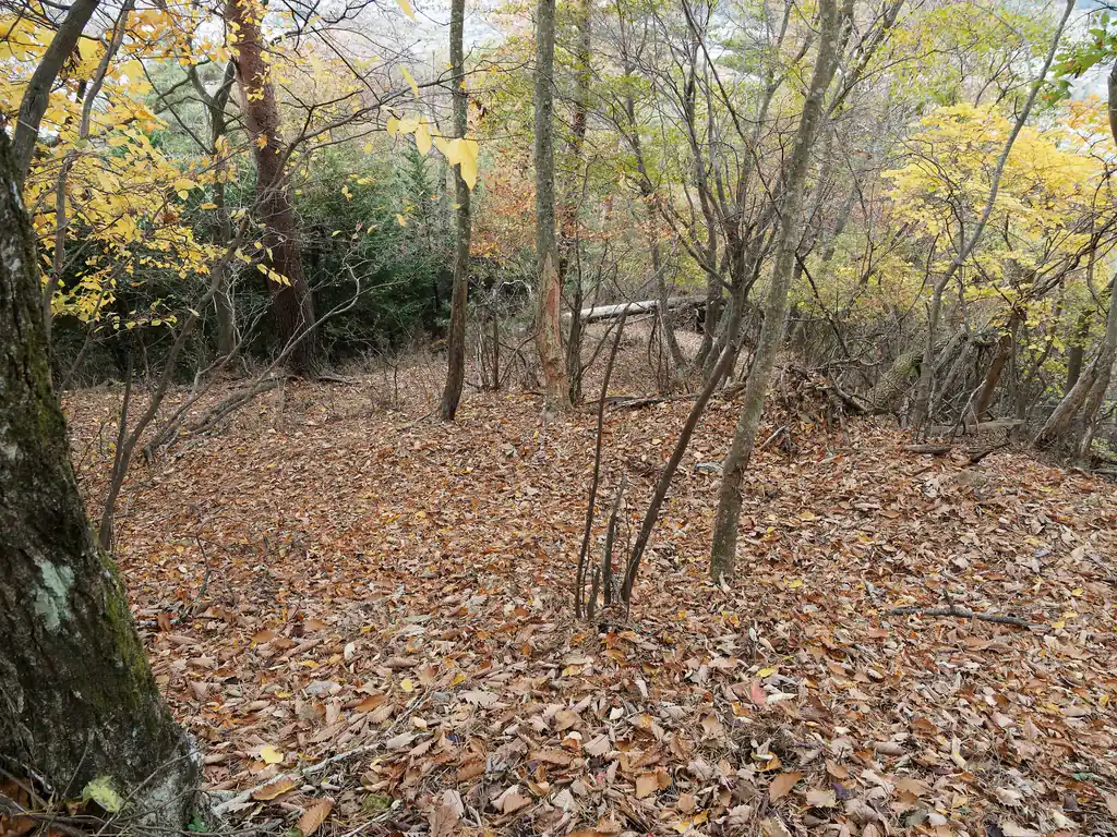 堂尾山公園からはしばし九十九折りの道を歩いて登る。
このあたりも落ち葉が多いけど、下山でも問題ないくらいの量だと思う。樹林帯の暗い道、というよりも自然林で葉が落ちているため、曇りでも明るい良い道だった。
この辺りはまた歩きたいなと思う道で、次は新緑の季節に来てもいいかもしれない。