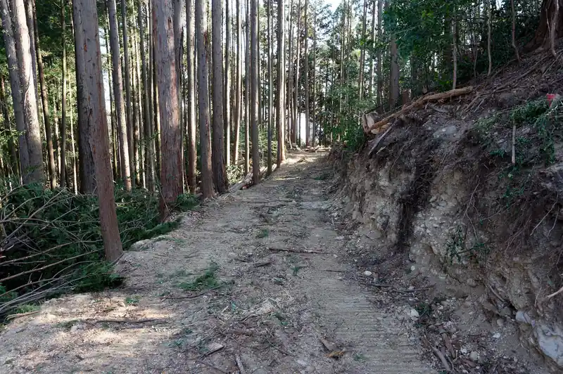 ブル道を歩いていきます。