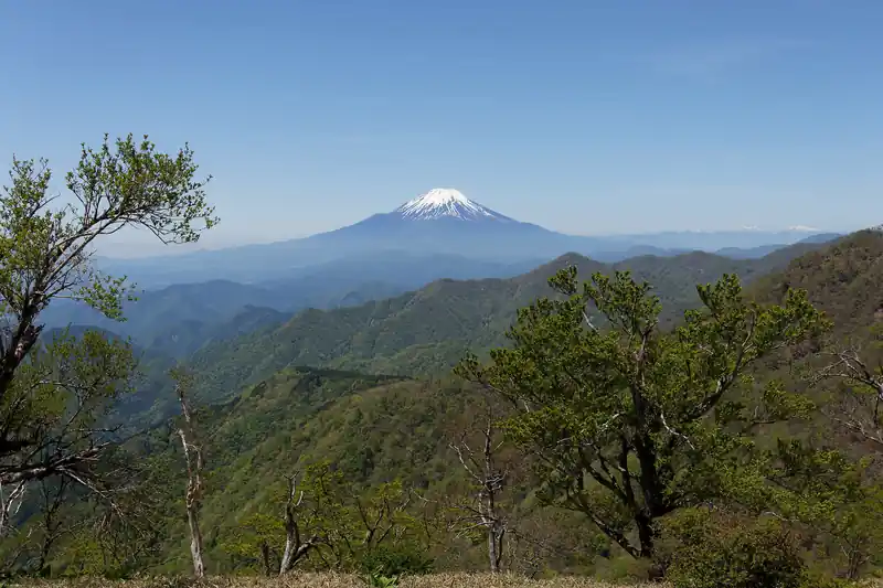 丹沢山から富士山を眺める。