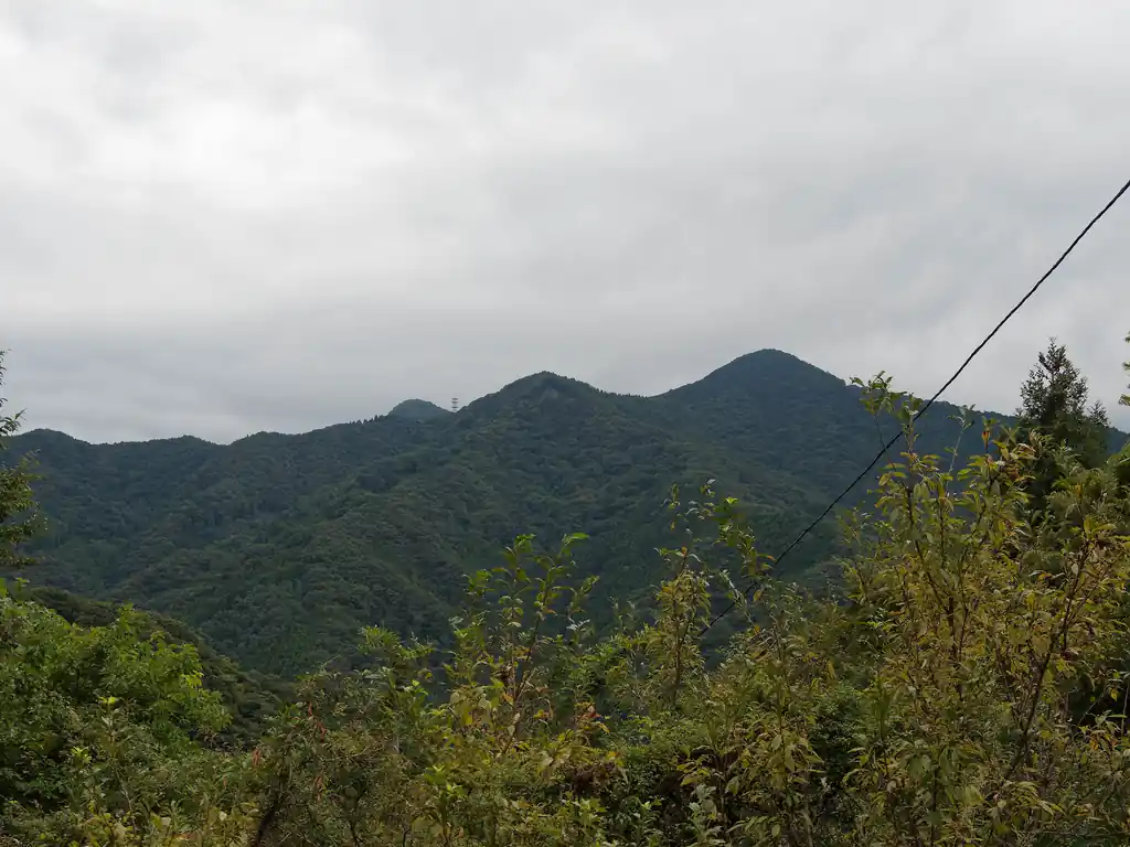 改めて二子山の方を見ると、今度は甲仁田山と思しきピークが見える。甲仁田山は今はバリエーションルートしかないが、昔は一般登山道があったとかなんとか…。
頂上付近にはアンテナが立っているらしいので、少し見えるそれがそうだろう。