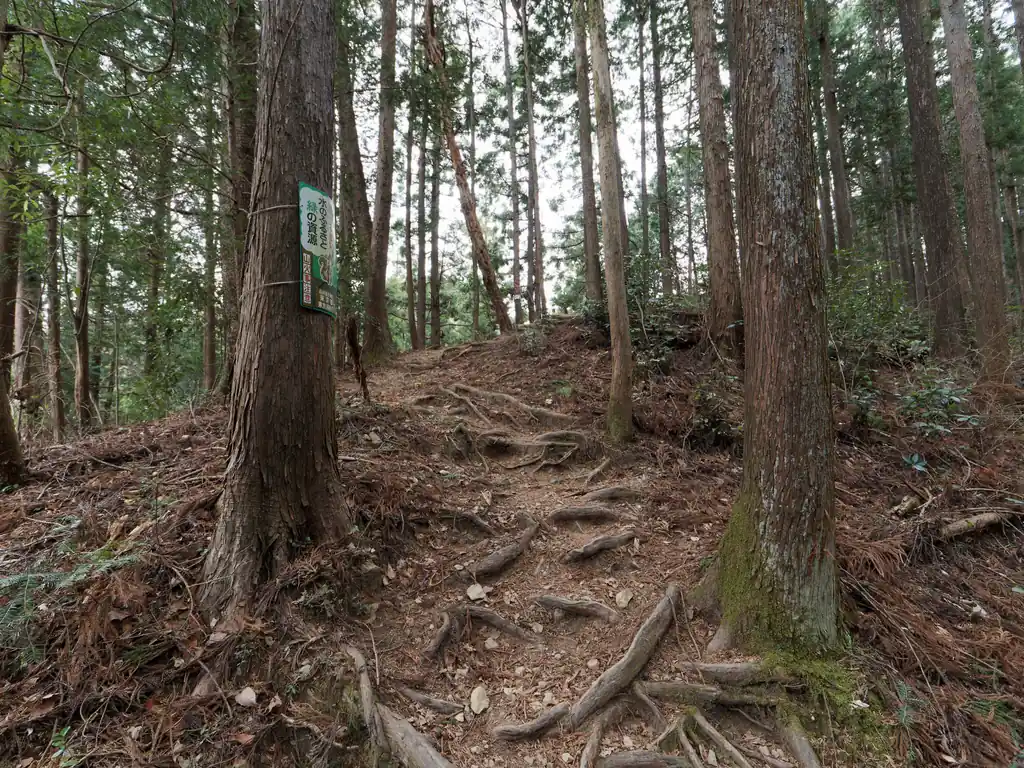 雷電山まではなかなかにきつい登りが続く。
この時間だと流石に誰ともすれ違わないかな、と思ったら、早速2～3人とすれ違いました。
どうやら4月にトレランの大会があるらしく、それで試走しているトレラン勢の人がいる模様。