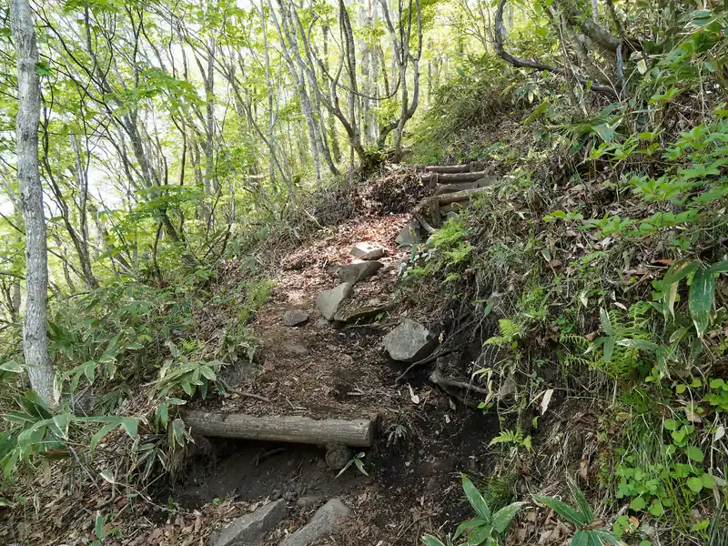 松手山までは九十九折のよく整備された道が続く。