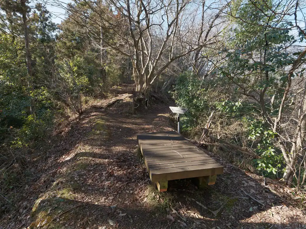 ここが四叉路。往路では、本日始めて遭遇した登山者が休憩中だったため写真は撮れなかった。
経塚山からは写真左側の道から降りてくる。
右側の道を進むと一本松山方面。