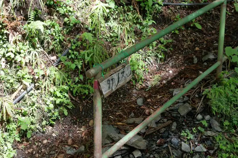 タカノス山の道標。ここを登って行きます。