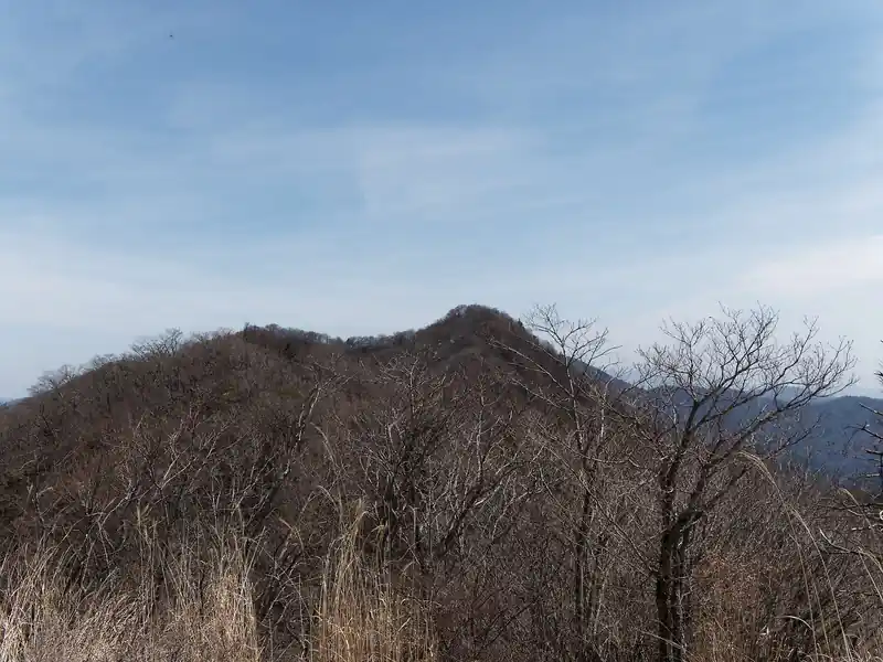 こっちは鹿留山と思われる。