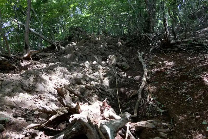 御巣鷹山の根本に到着しました。
この岩っぽい急登を登って御巣鷹山を目指します。ここから御巣鷹山まではしばらく急登が続きます。マジでこの急登がきつい。
なお、写真にはロープが写っていますが、登りではロープは特に不要なくらいの箇所です。