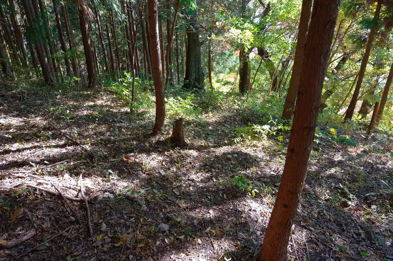 これ道あります？と思ったんですが、まあ時間もあるし試しに歩いてみるか、と行ってみることにしました。