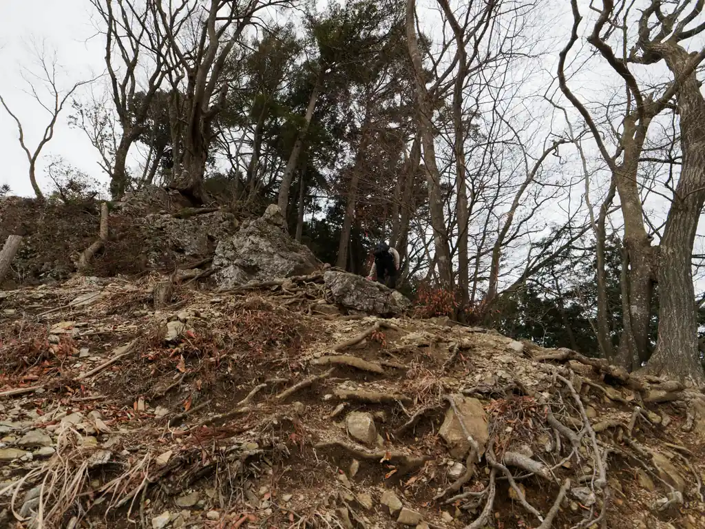 降ったところで反対方向からきた登山者とすれ違う。
この岩場ですれ違うのはちょっと嫌だな～と思っていたので、まだ人が少ないタイミングで助かりました。

このあたりから大勢の登山者とすれ違いまして、軍畑駅から登る方が人気なのかな？と思いました。