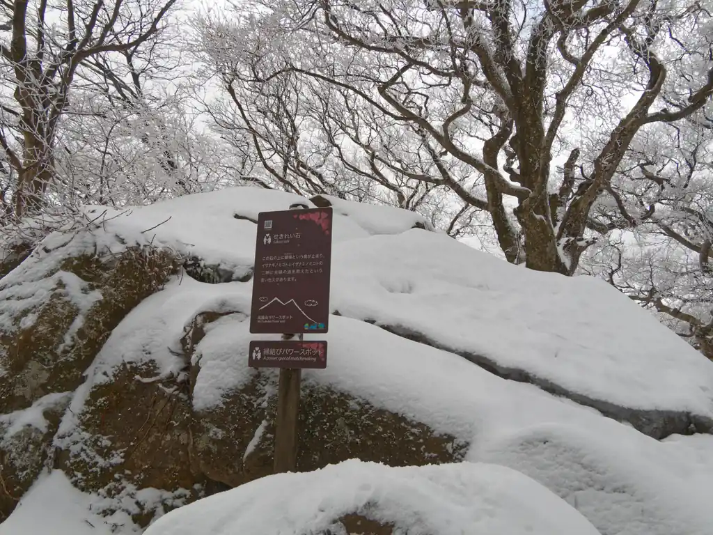 パワースポットらしい…が流石にこの降雪のせいか記念撮影をしている人はあまりいなかった。
