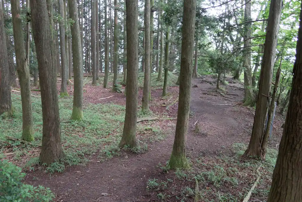 雄岳山頂に到着。広いだけで特に何かあるわけではない。