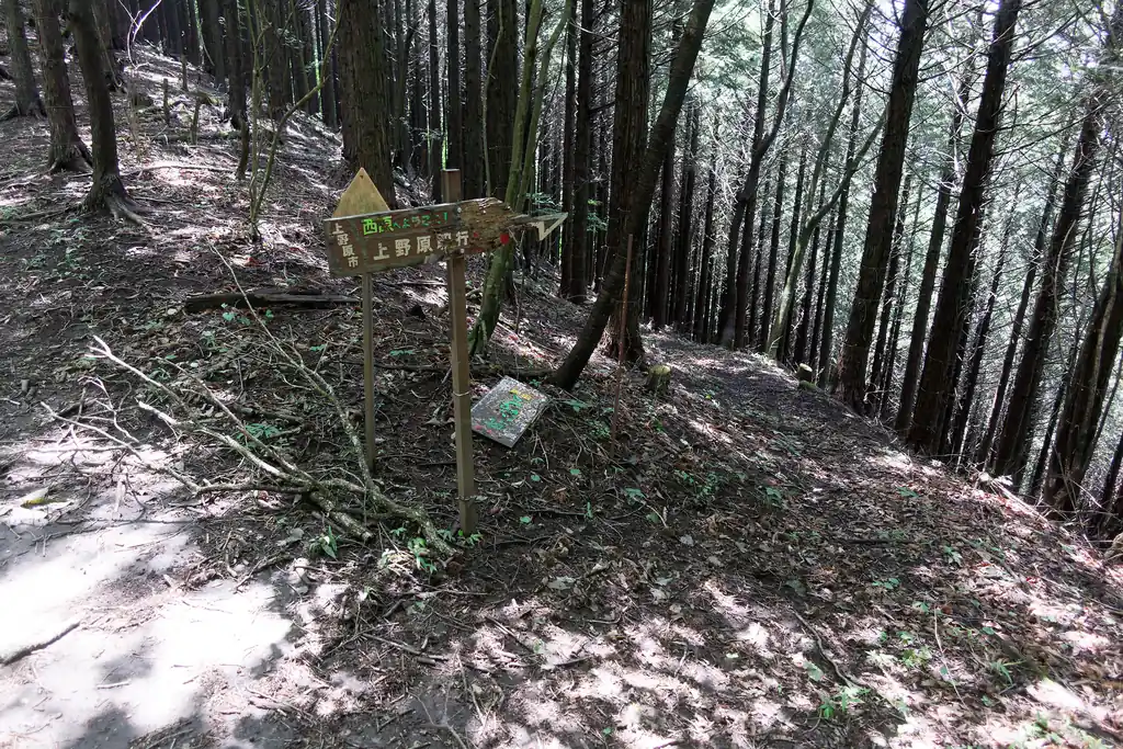 どうも上野原にも降りれるみたいですが、地図にはここの分岐はなかった。本当に降りれるのかなあ。指導標があっても、今はどうなんだ～？というにおいがしますね。