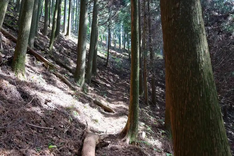 九十九折の道になって登っていくと…