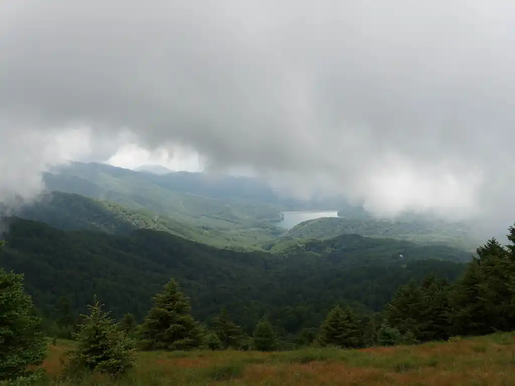 本当はあの向こうに富士山が・・・（略
