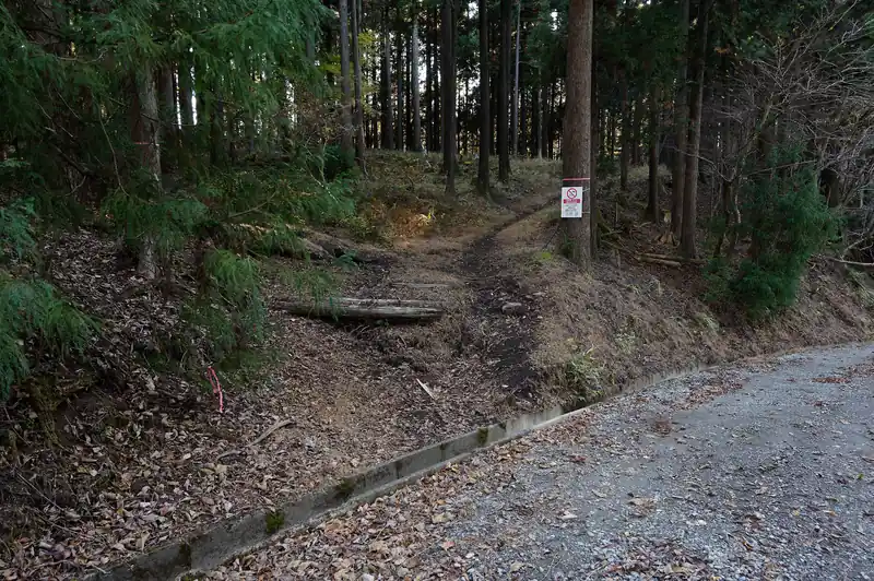 そのまま林道を歩いていって、ここから登山道へ入ります。
右に伸びる踏み跡をなんとなく辿っていったんですが、途中で間違えている事に気づき引き返してきました。
不老山へは左に登っていく道を歩くのが正しいです。