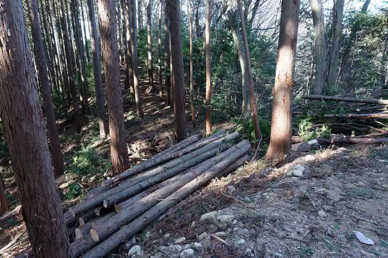 そんなこんなで道なりに歩いてブル道に出ました。
丸太が積んである奥から出てきました。

これは安楽寺方面から歩いてくるとかなりわかりづらいかも。
