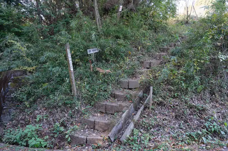 というわけで陣見山へ登っていきます。