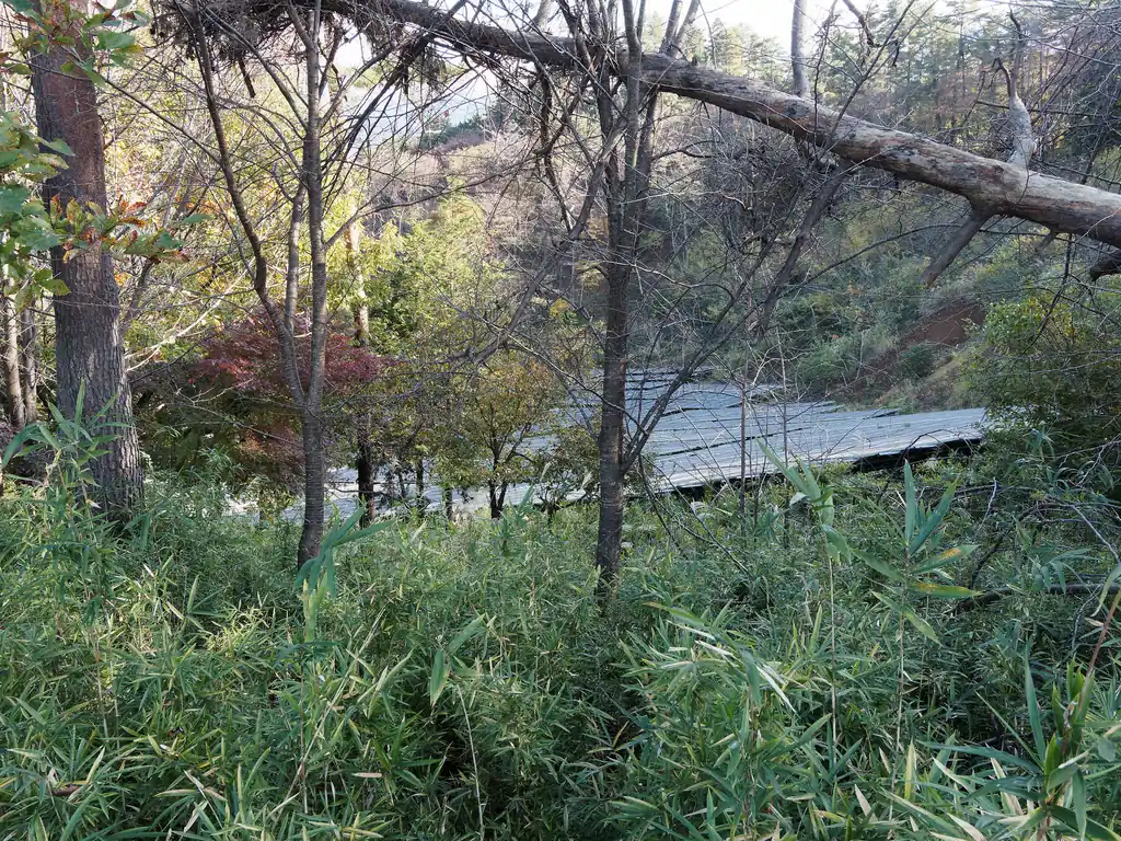 道なりに進んでいくと右側に何か人工物が見える。見てみるとソーラーパネルだった。
最近山でソーラーパネルよく見るけど、見たときのガッカリ感はトップだ。
