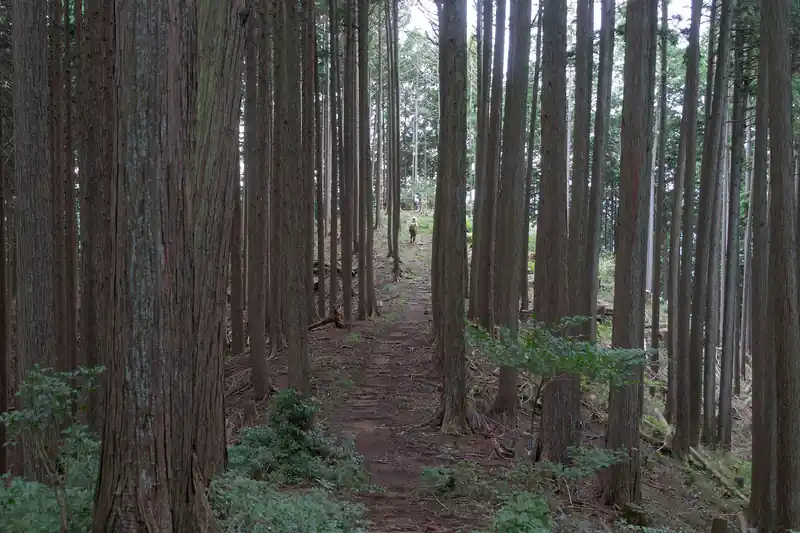 高峰山山頂が見えてきました。
まあ大体想像できてたけど、地味な山頂っすね。