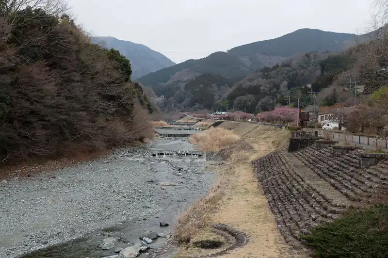 右奥が鍋割山だと思うんだけど、どうなのかな。ここから鍋割山って見えるんだろうか？