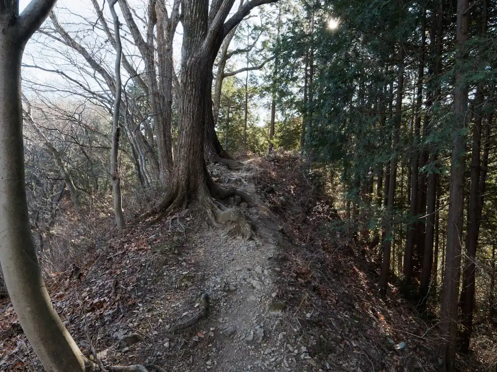 少し道が細くなるものの、高度感はそれほどなく高所恐怖症の私でも怖さはなかった。